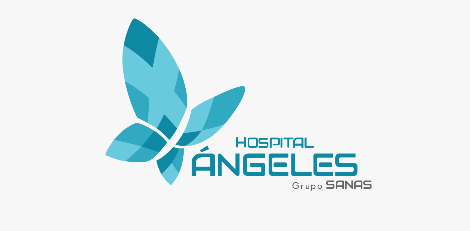 Hospital Ángeles - Grupo Sanas